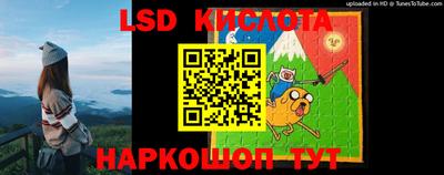 PSILOCYBIN Аша